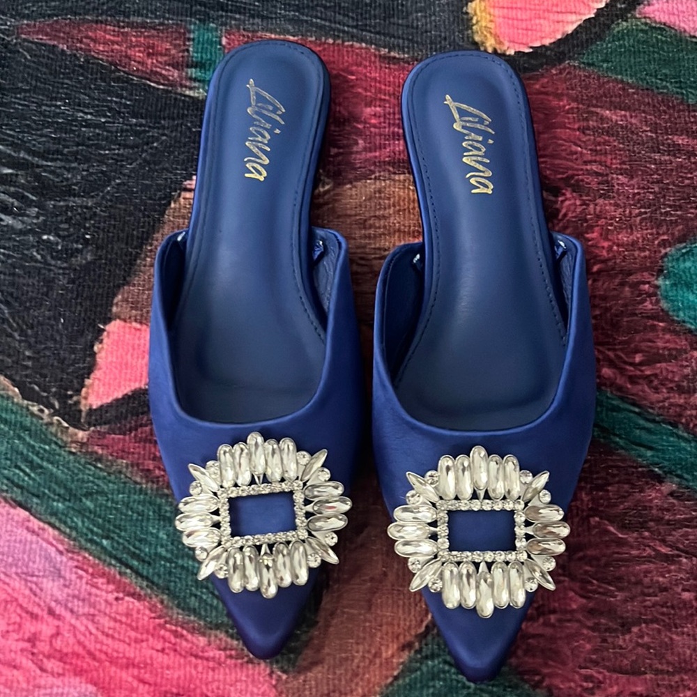 Blue Pointed Flats